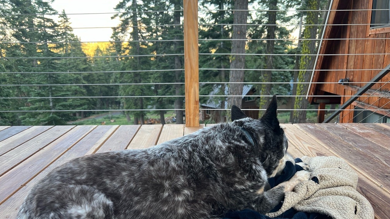 Photo of Others in Bear Valley
