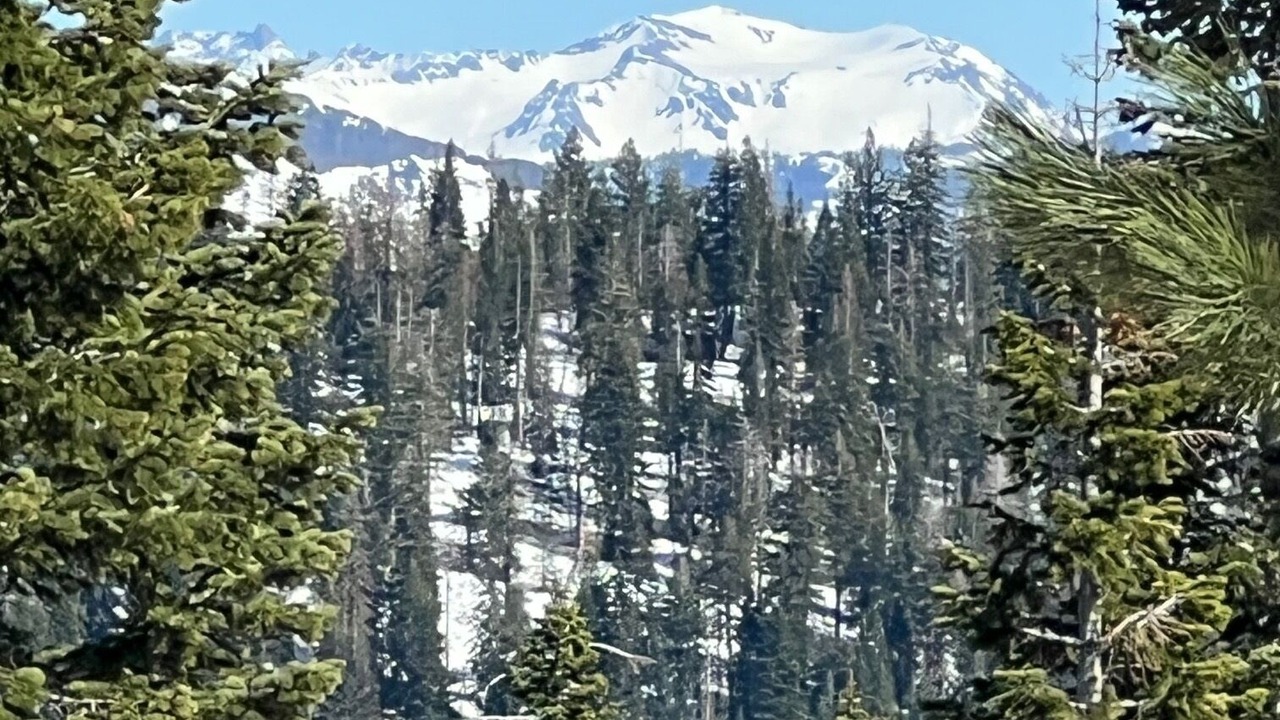 Photo of Others in Bear Valley