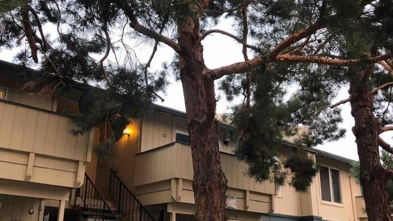 Photo of Outdoor in Northeast Reno
