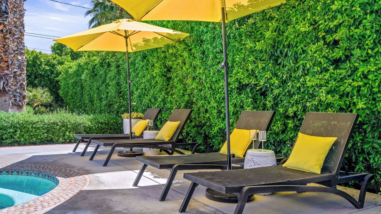 Photo of Outdoor in Tahquitz River Estates