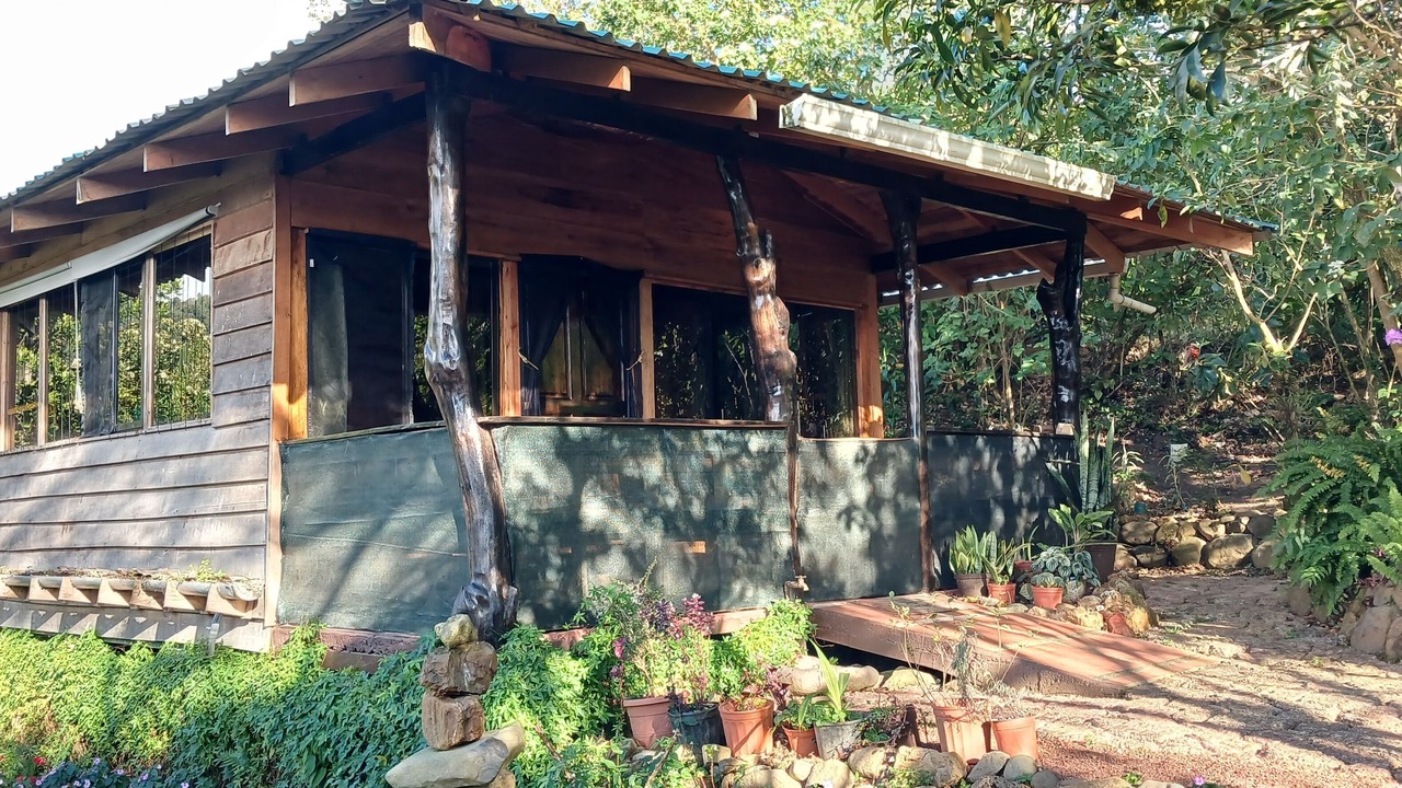 Photo of Outdoor in Sierra