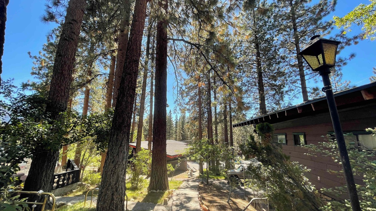 Photo of Outdoor in Zephyr Cove