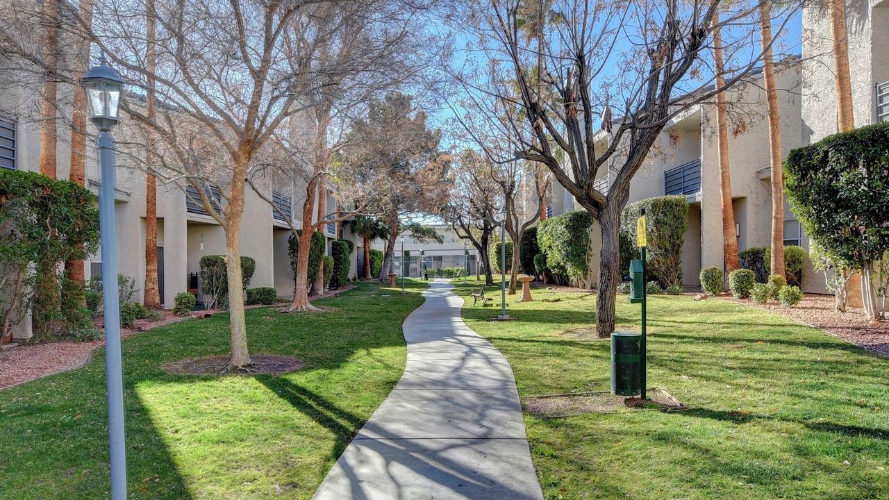 Photo of Outdoor in Spring Valley