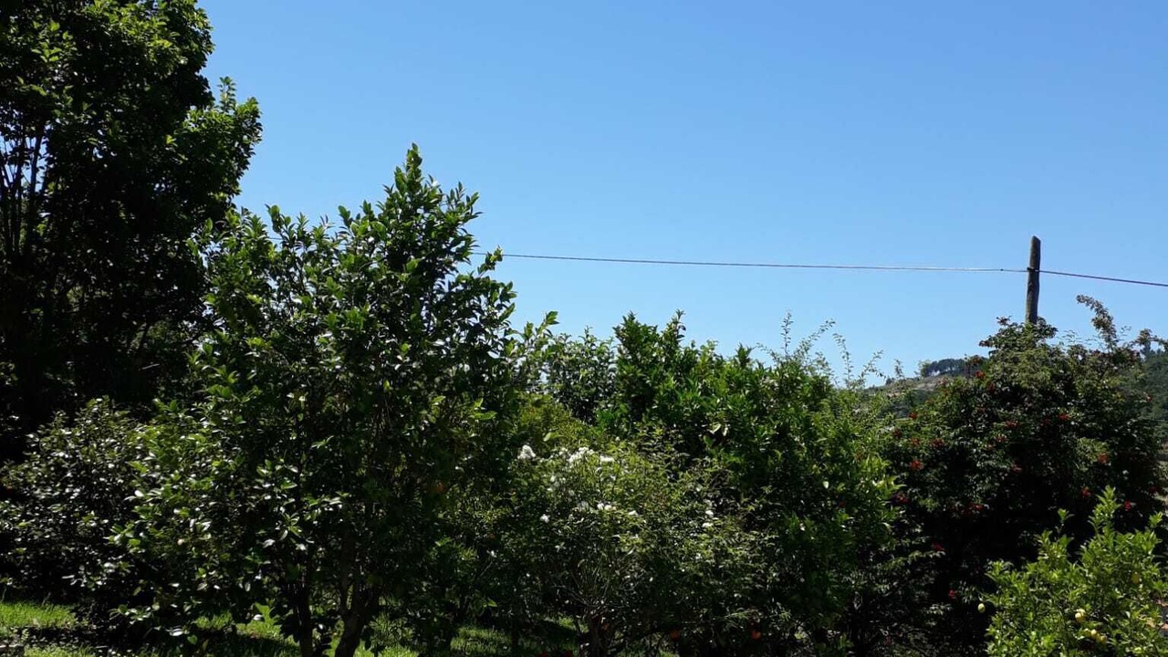 Photo of Outdoor in Santa Marinha do Zezere