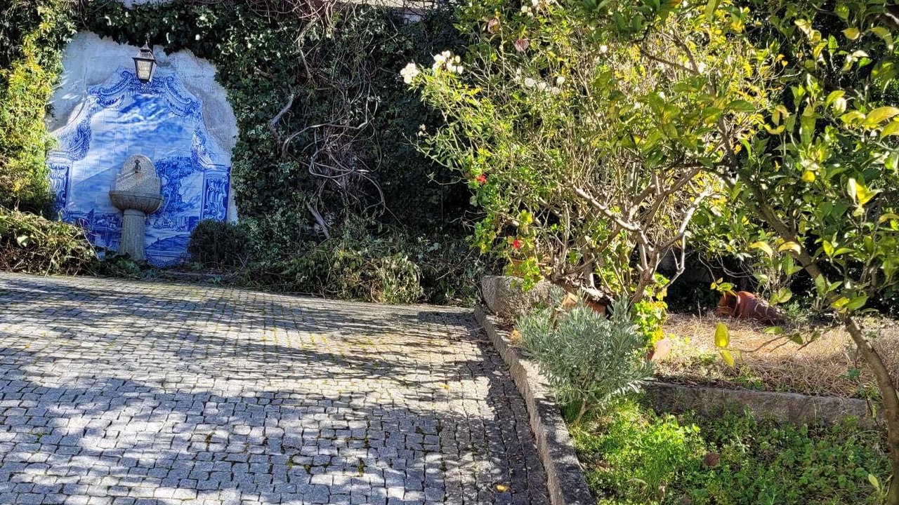 Photo of Outdoor in Santa Marinha do Zezere
