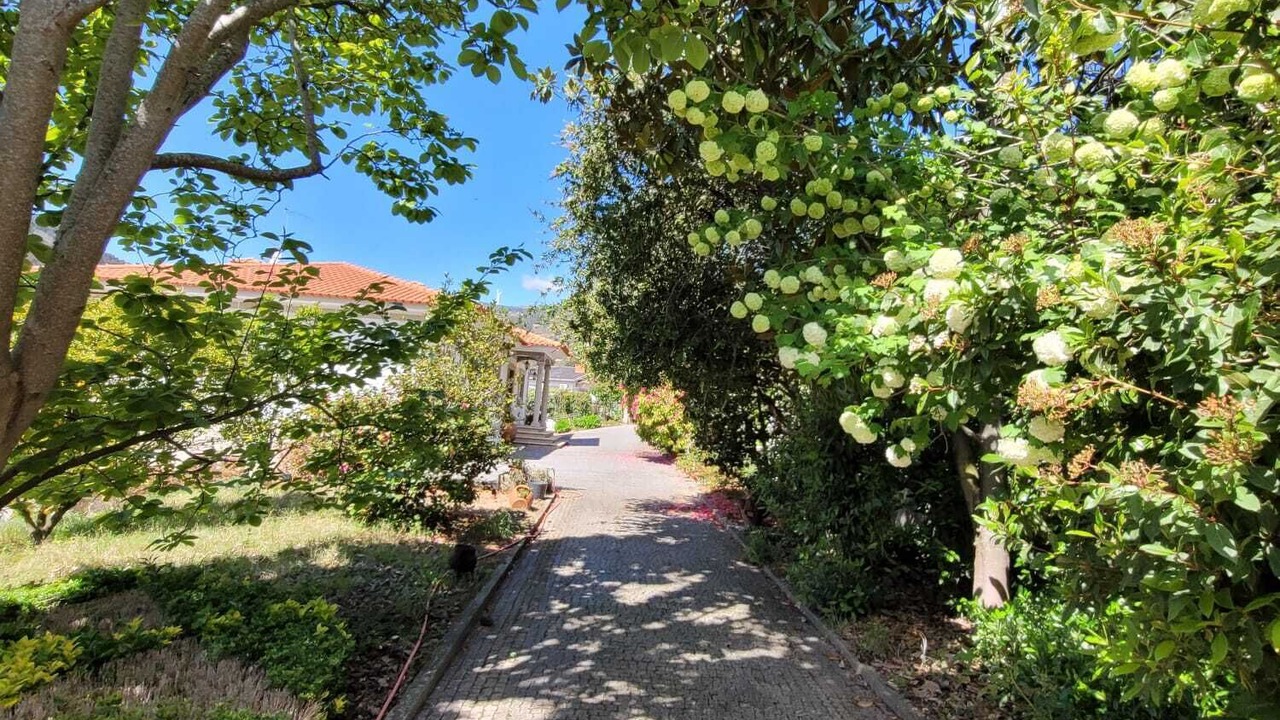 Photo of Outdoor in Santa Marinha do Zezere