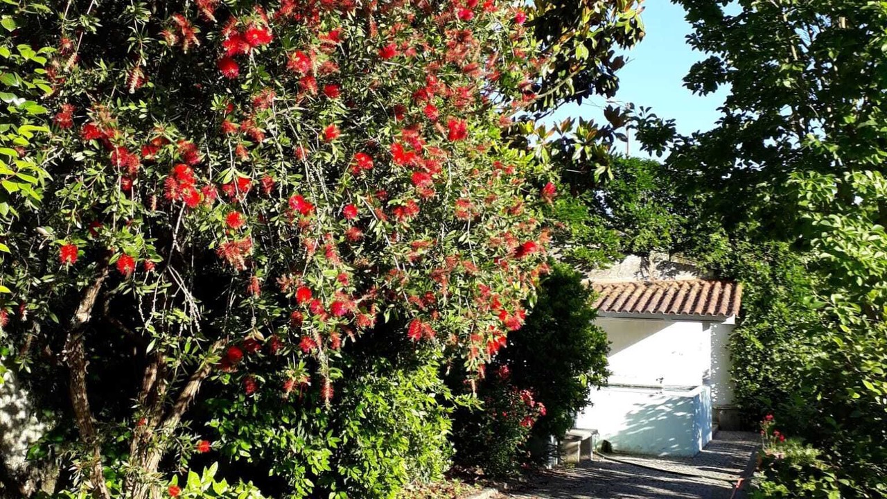 Photo of Outdoor in Santa Marinha do Zezere