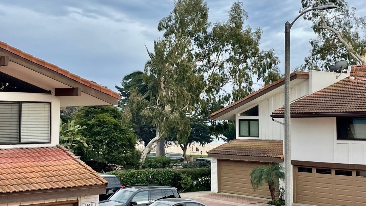 Photo of Outdoor in East Beach