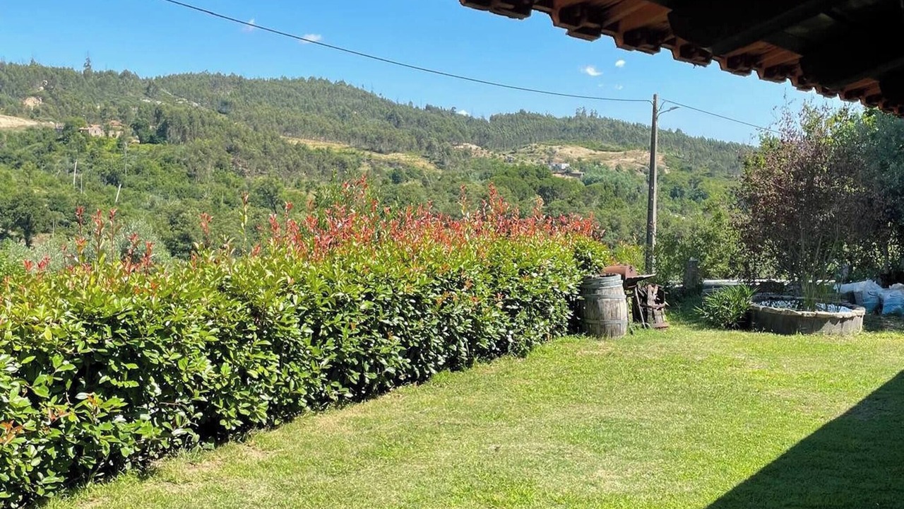 Photo of Outdoor in Tondela