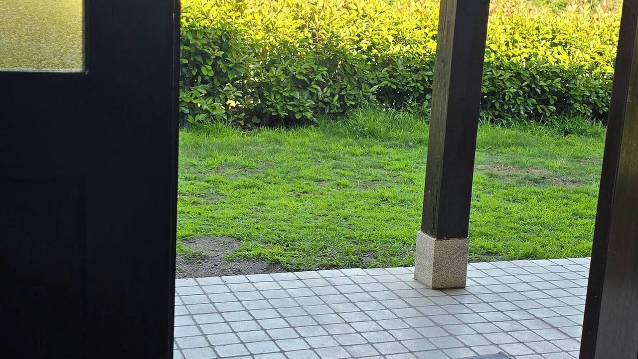 Photo of Patio Balcony in Tondela
