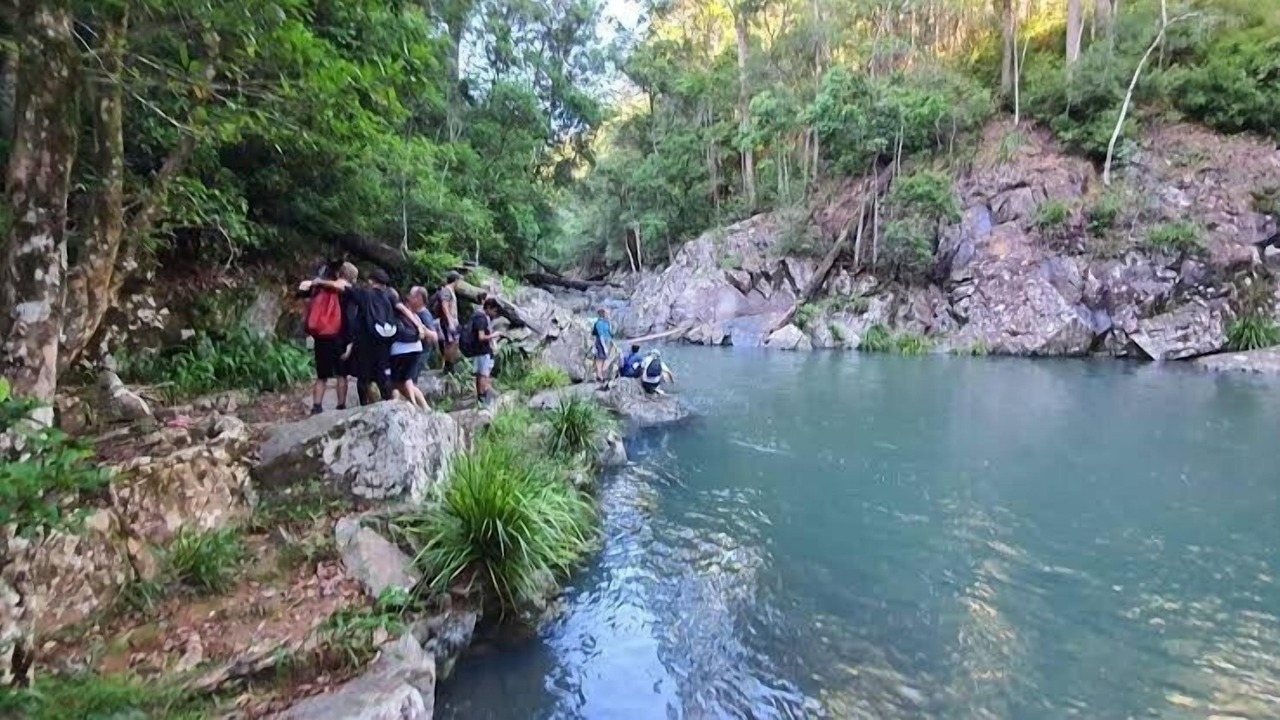 Photo of Others in Mudgeeraba