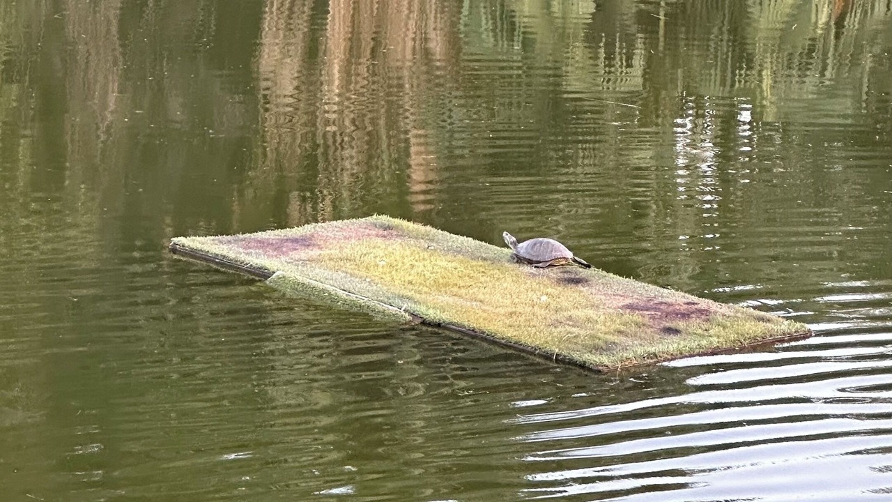 Photo of Others in Palm Springs