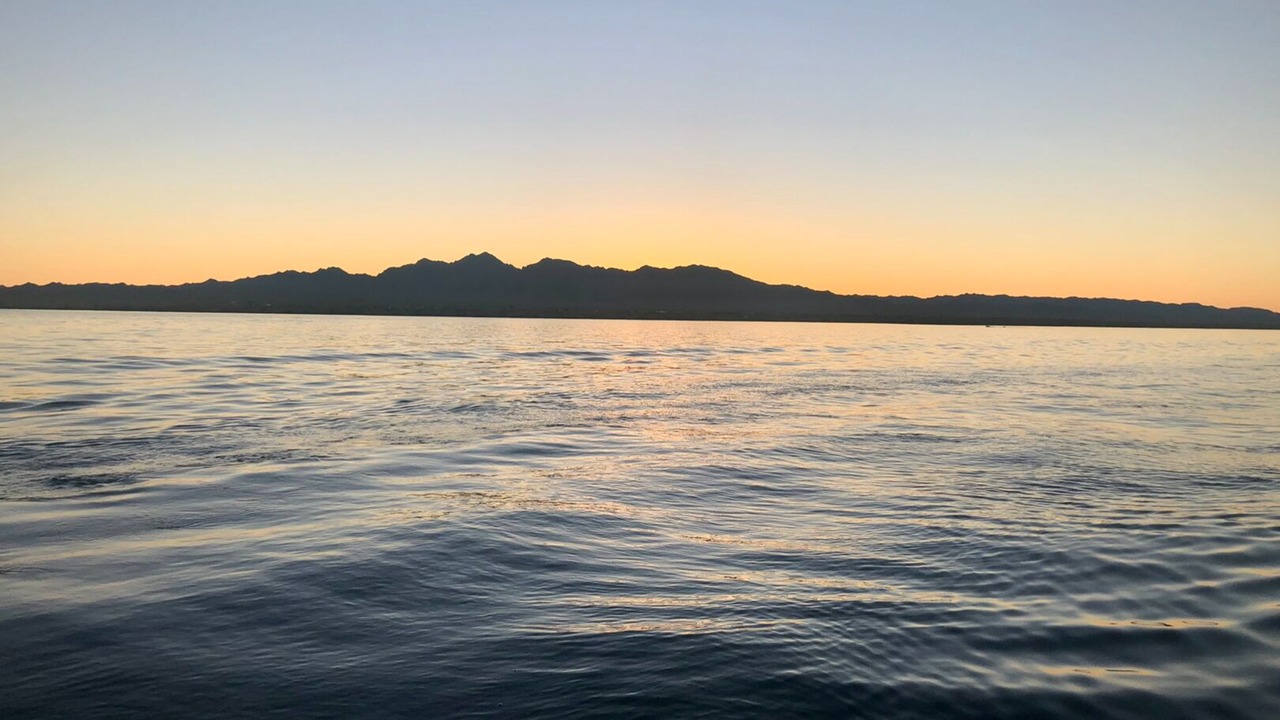 Photo of Others in Lake Havasu City