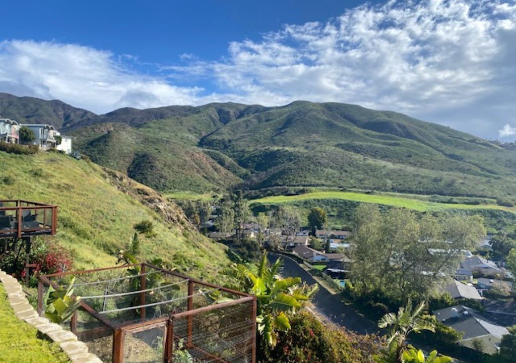 Photo of Others in Western Malibu
