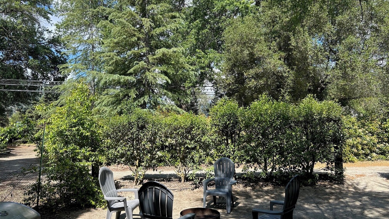 Photo of Outdoor in Three Rivers