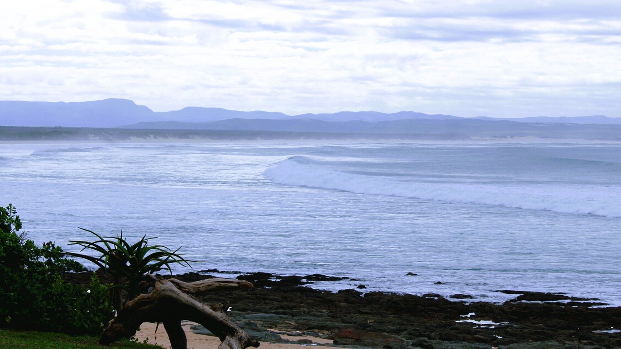 Photo of Others in Jeffreys Bay