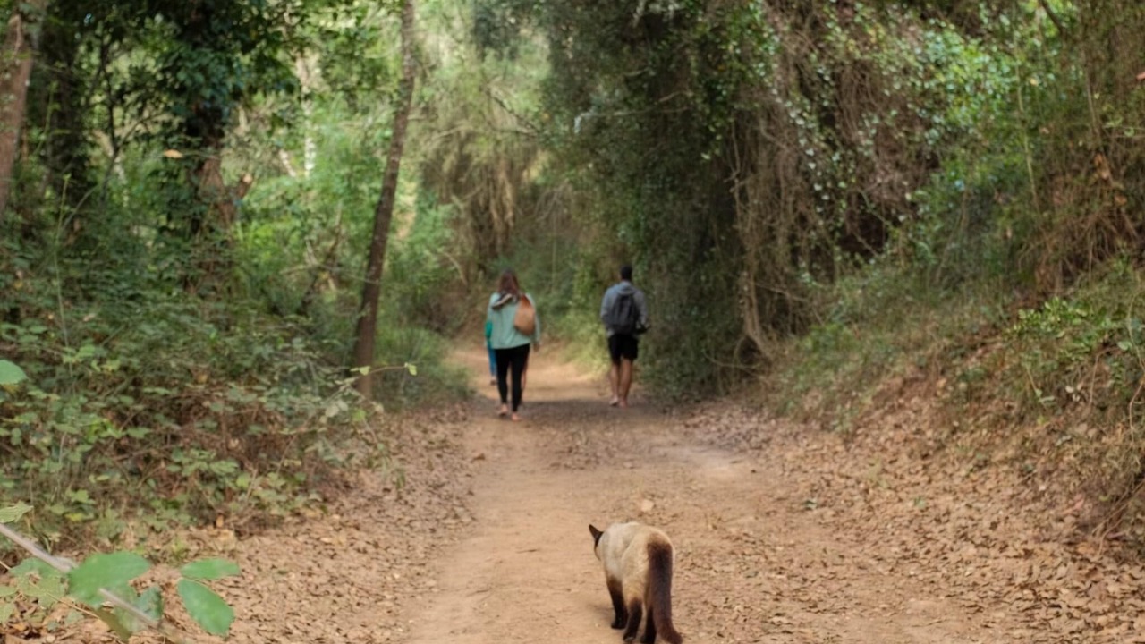 Photo of Outdoor in Santa Maria
