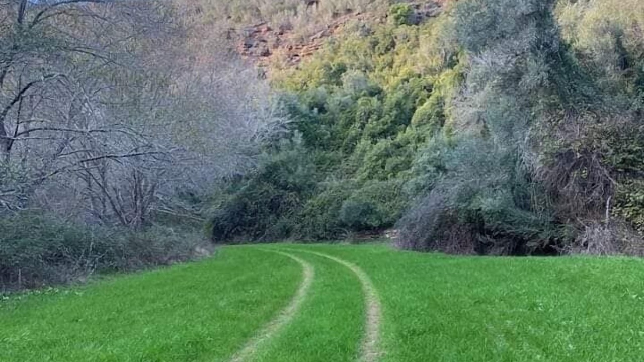 Photo of Outdoor in Santa Maria