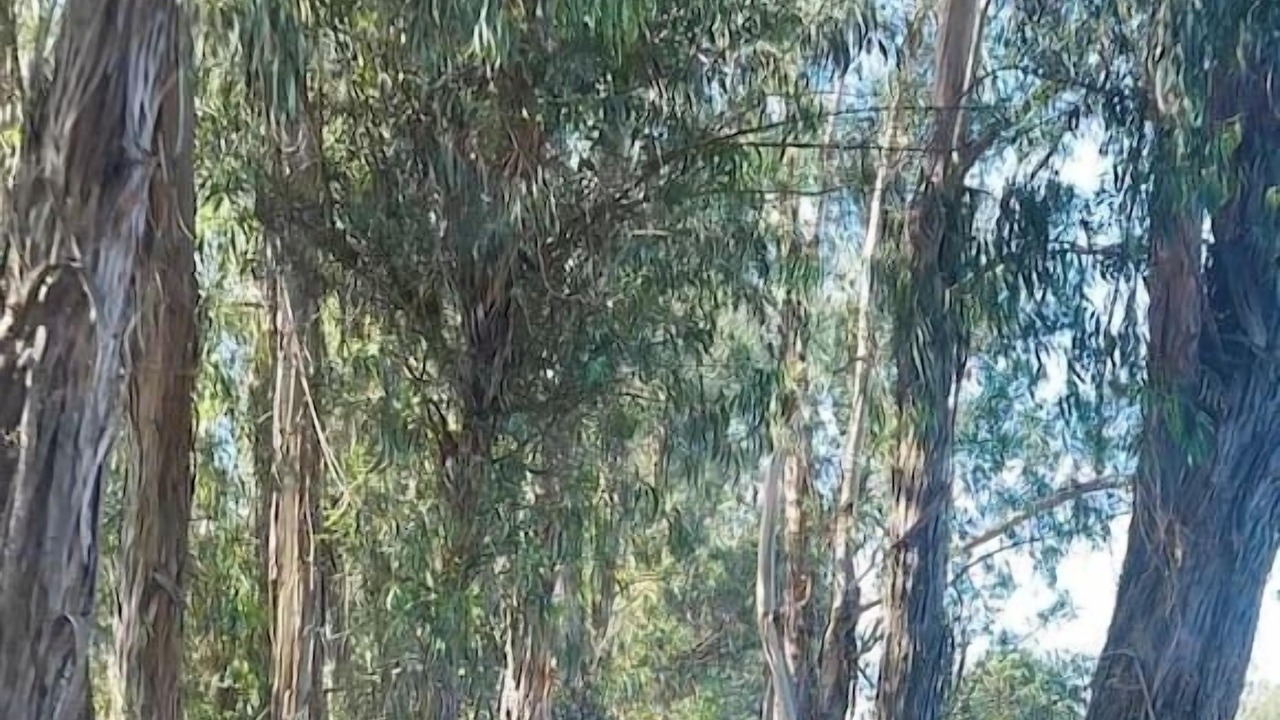 Photo of Others in Callender