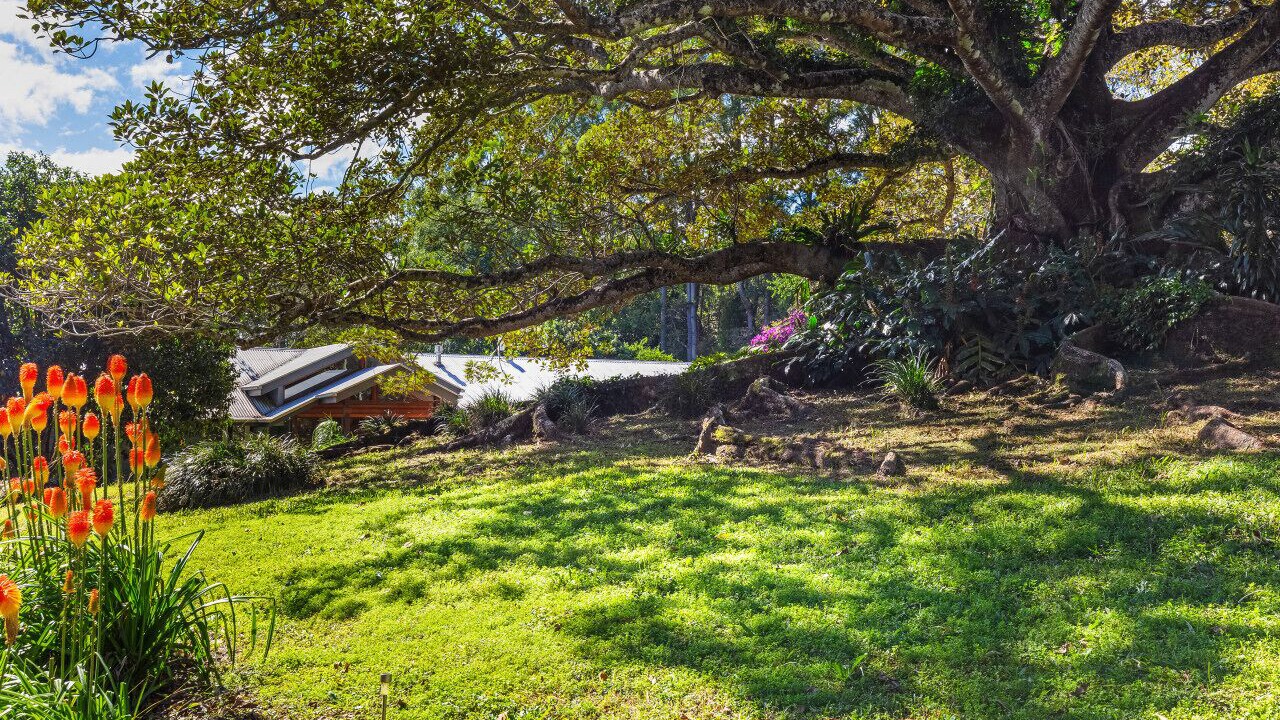 Photo of Others in Maleny