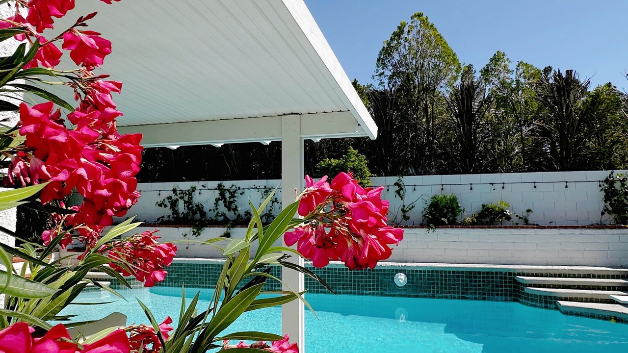 Photo of Outdoor in Paradise