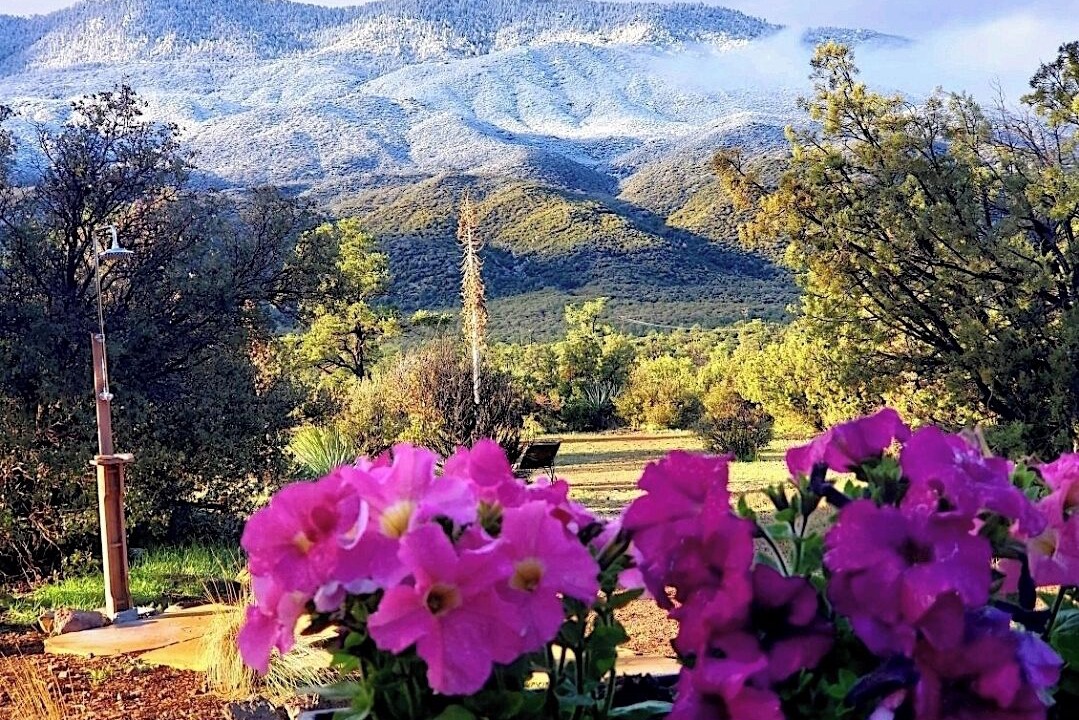 Photo of Others in Pinyon Pines