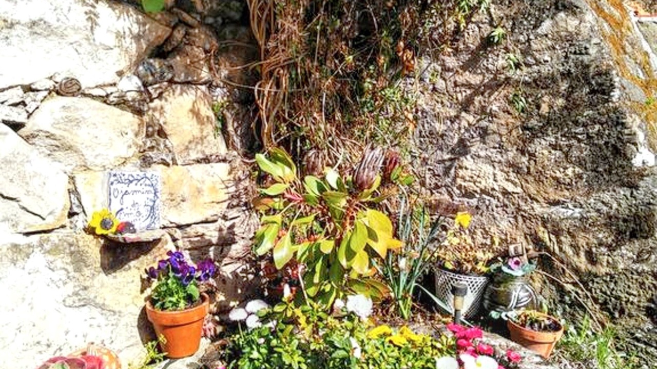Photo of Outdoor in Lamego