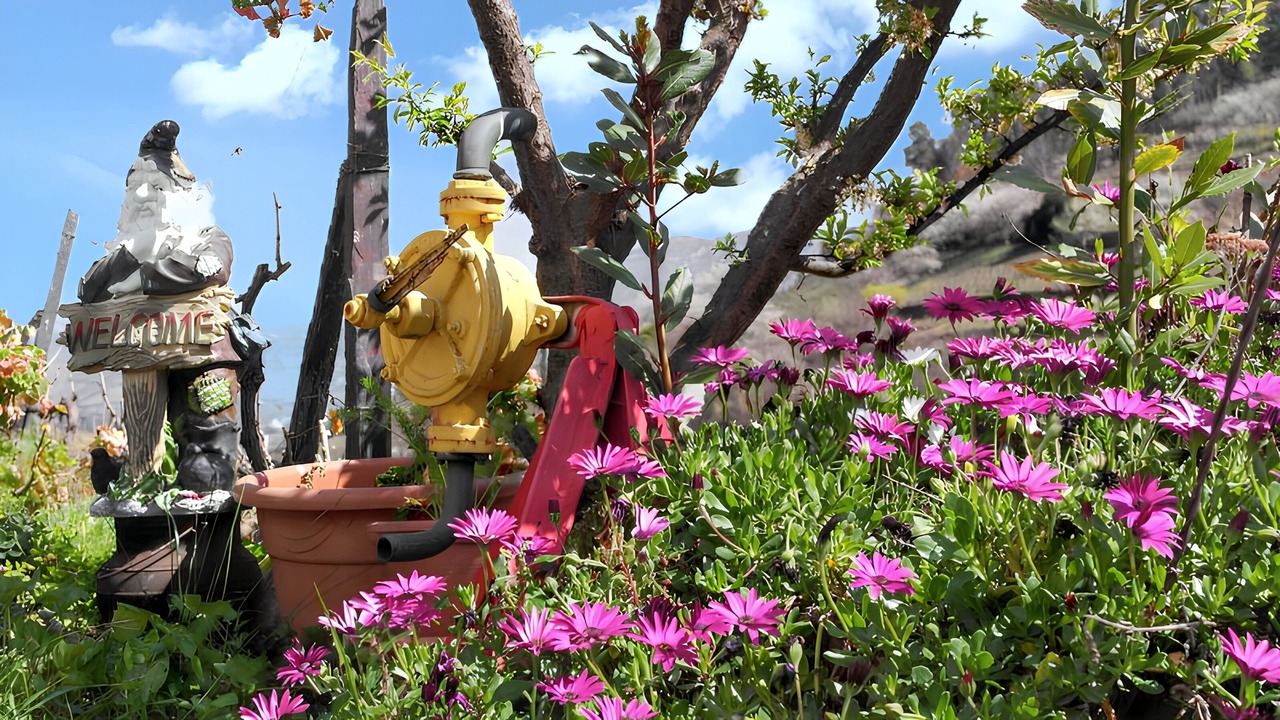 Photo of Outdoor in Lamego
