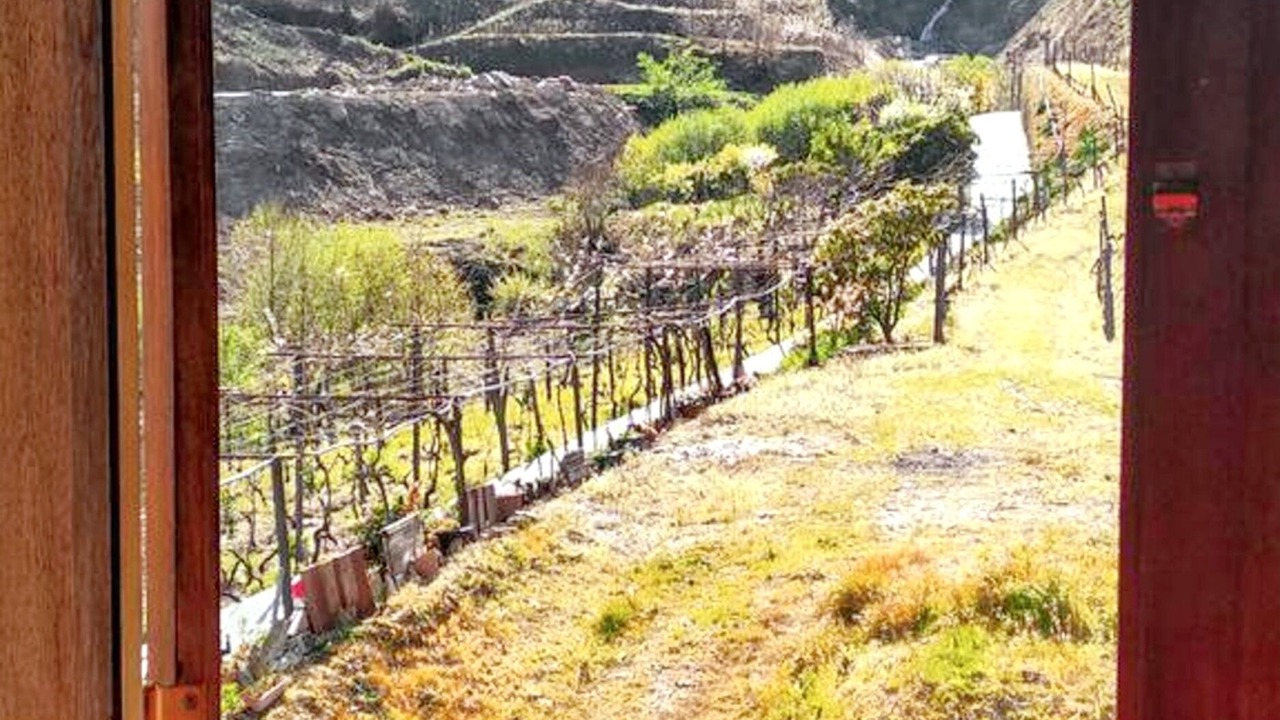 Photo of Others in Lamego