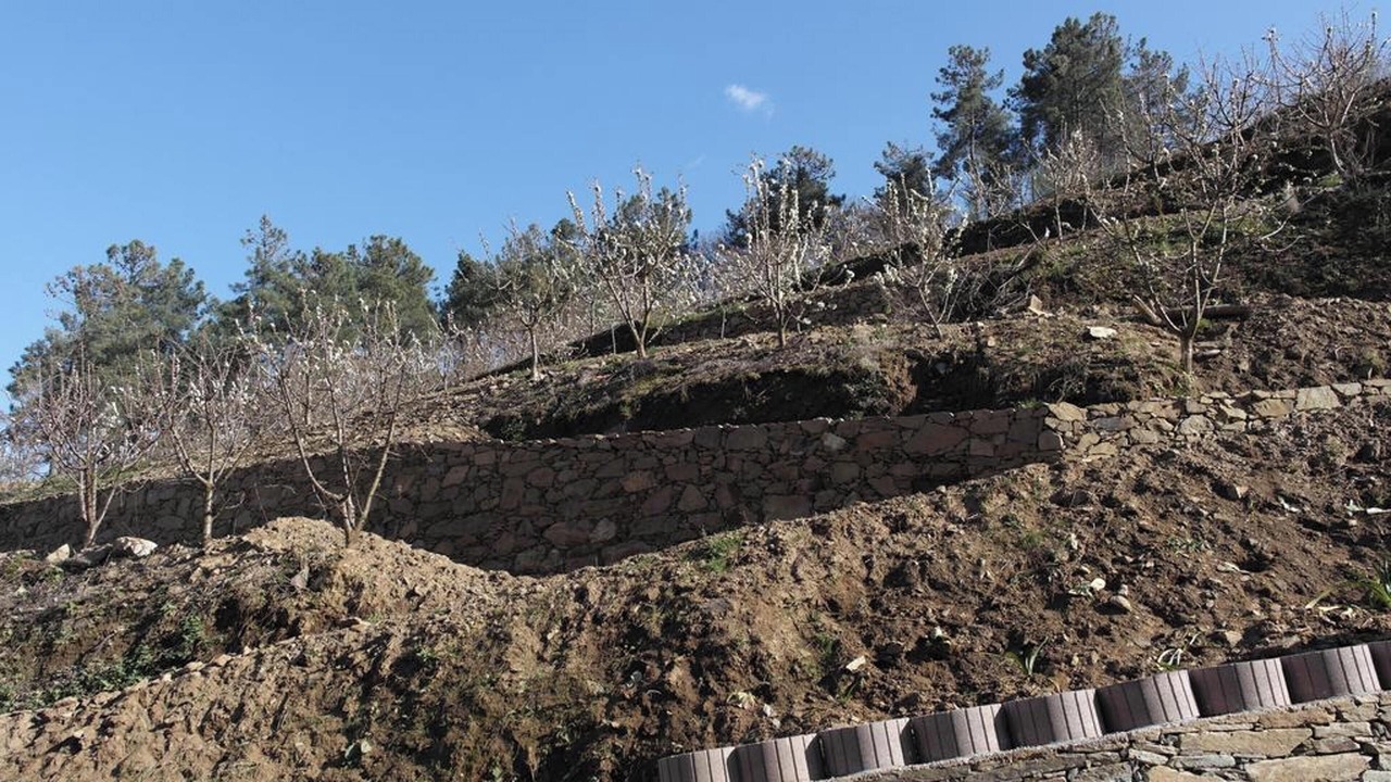 Photo of Outdoor in Lamego