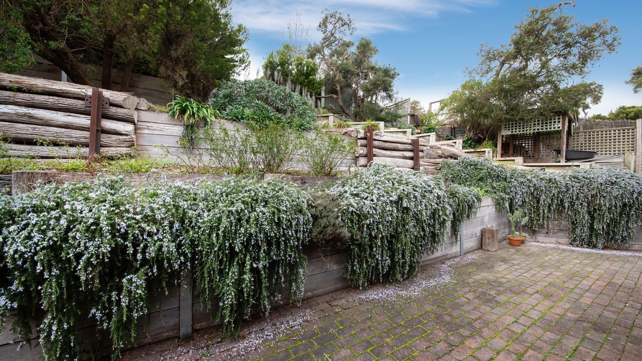 Photo of Outdoor in Rye