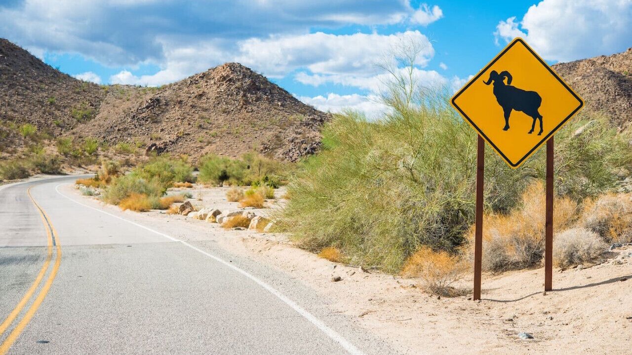 Photo of Others in Twentynine Palms
