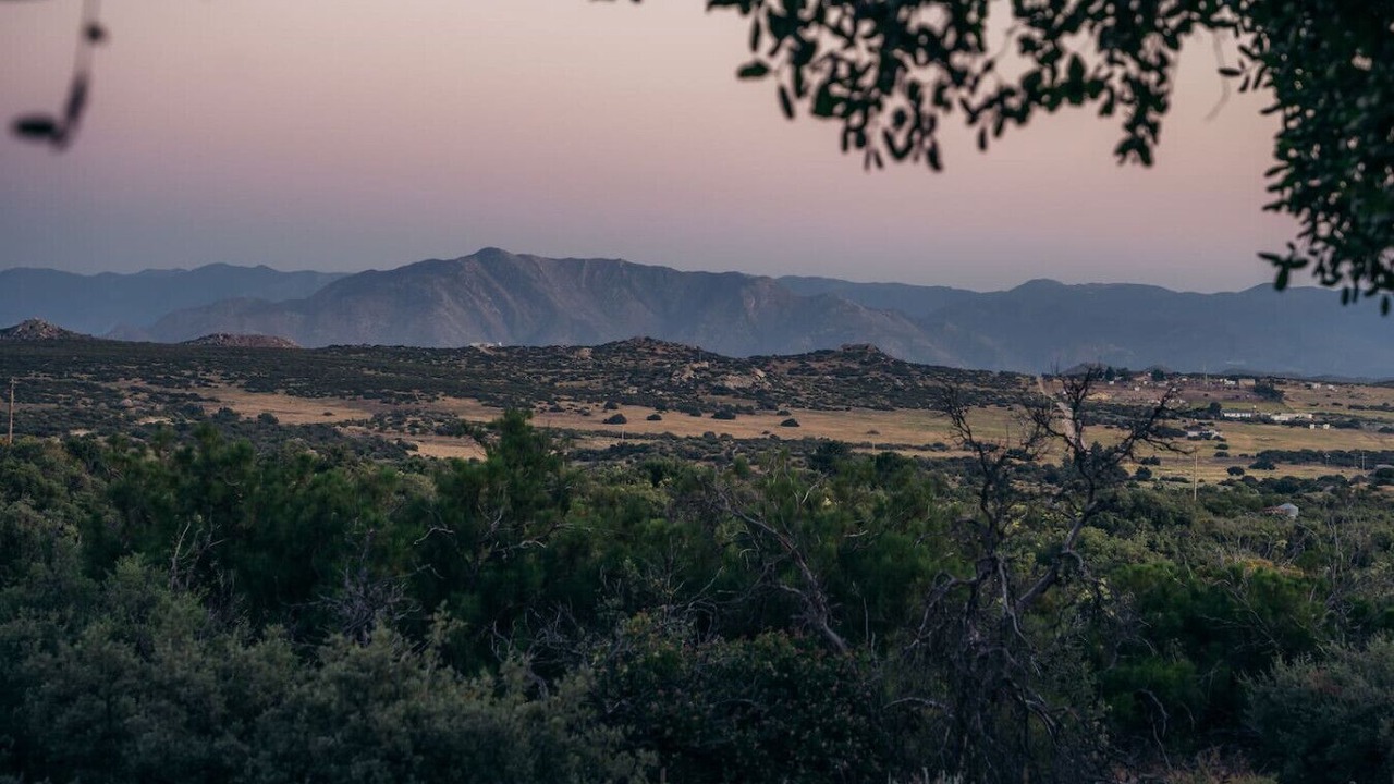 Photo of Others in Ranchita