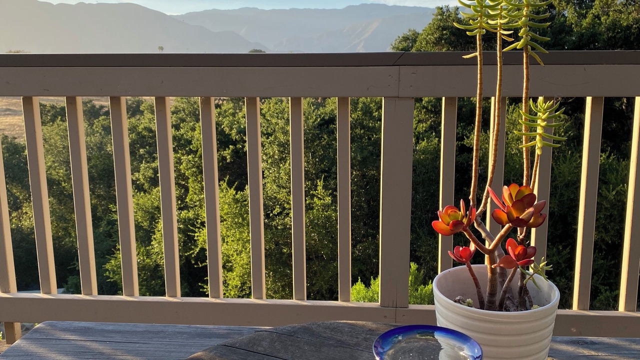 Photo of Outdoor in Mira Monte