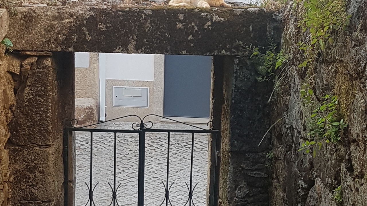 Photo of Outdoor in Penamacor