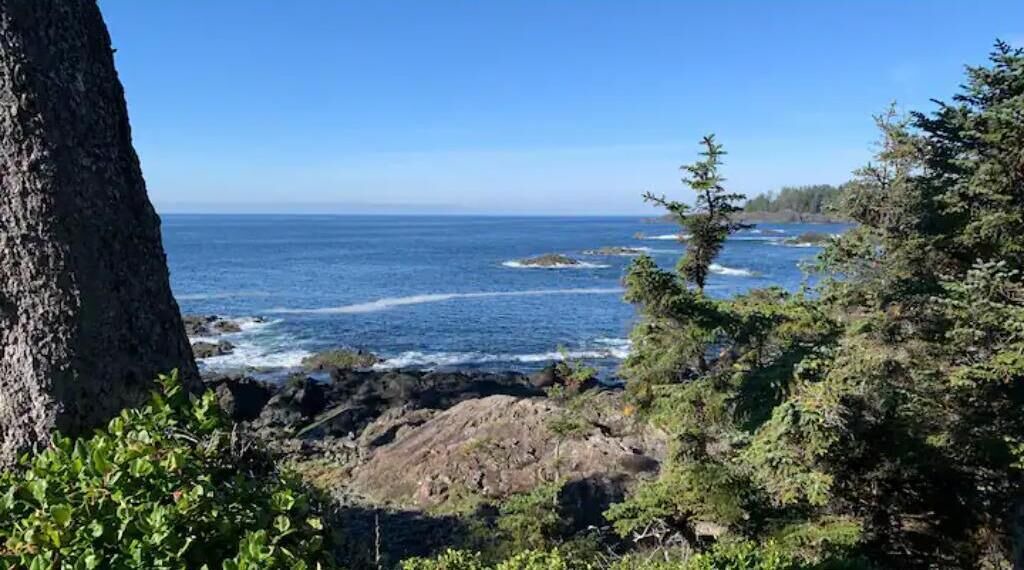 Photo of Others in Ucluelet