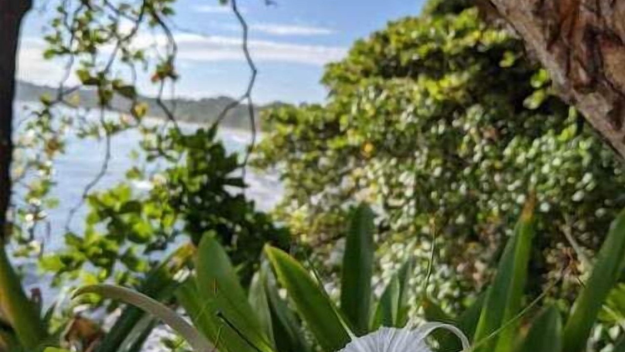 Photo of Outdoor in Chiguata