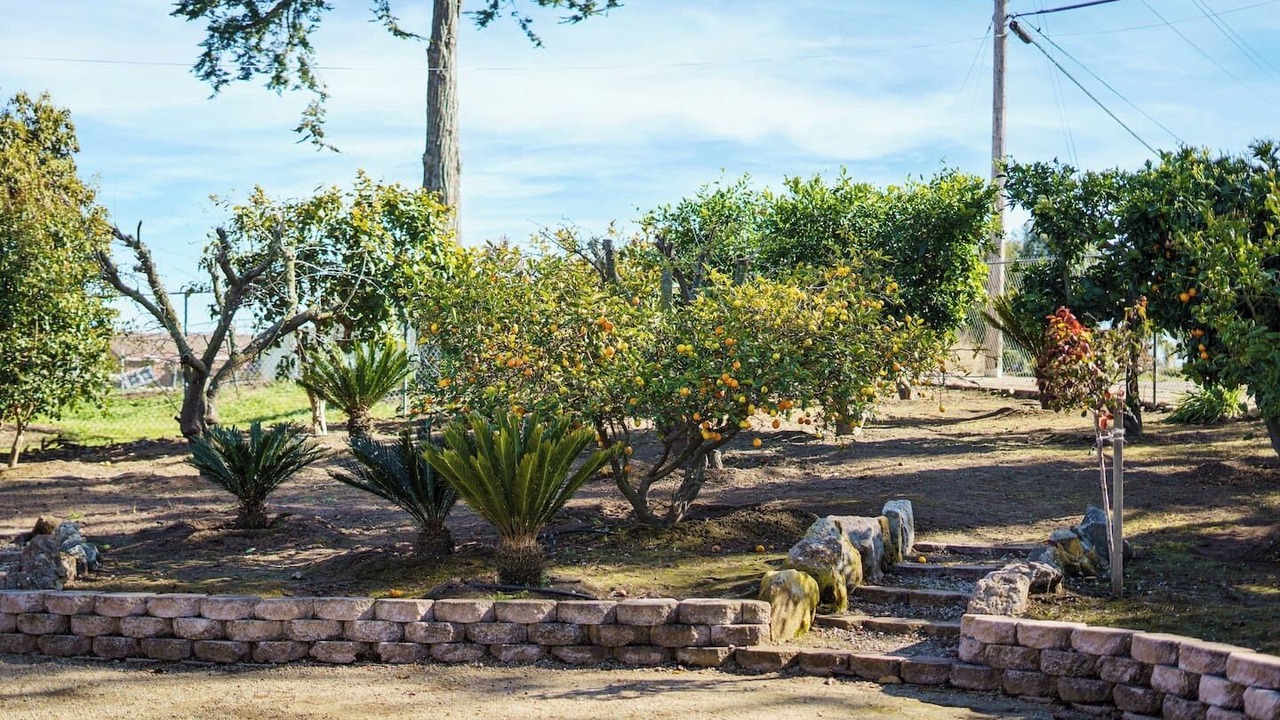 Photo of Outdoor in Nipomo