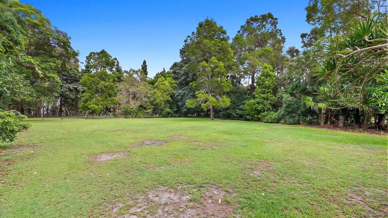 Photo of Outdoor in White Patch