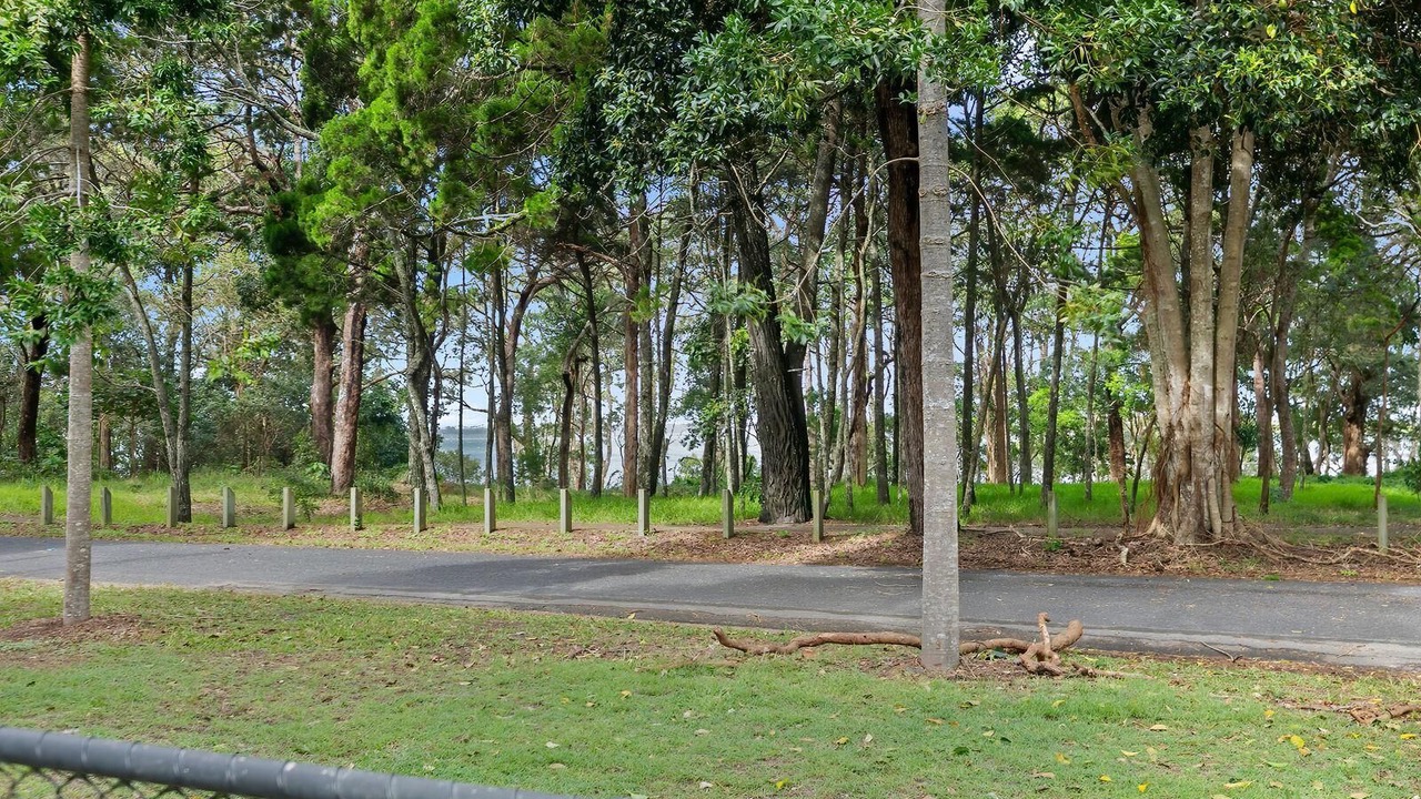 Photo of Outdoor in White Patch