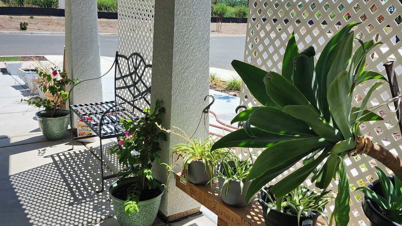 Photo of Patio Balcony in Visalia