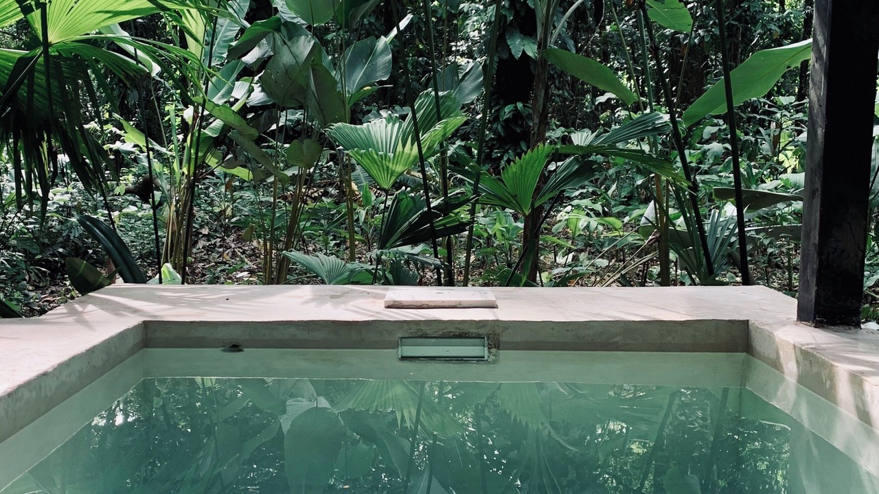Photo of Outdoor in Manzanillo