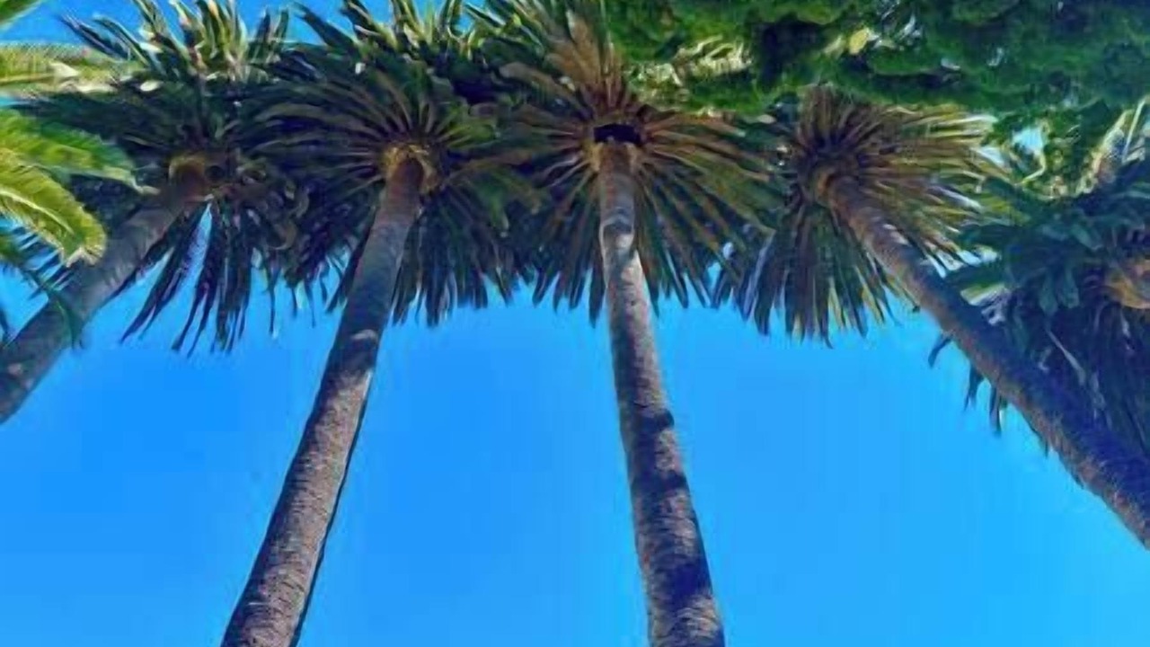 Photo of Others in Montecito