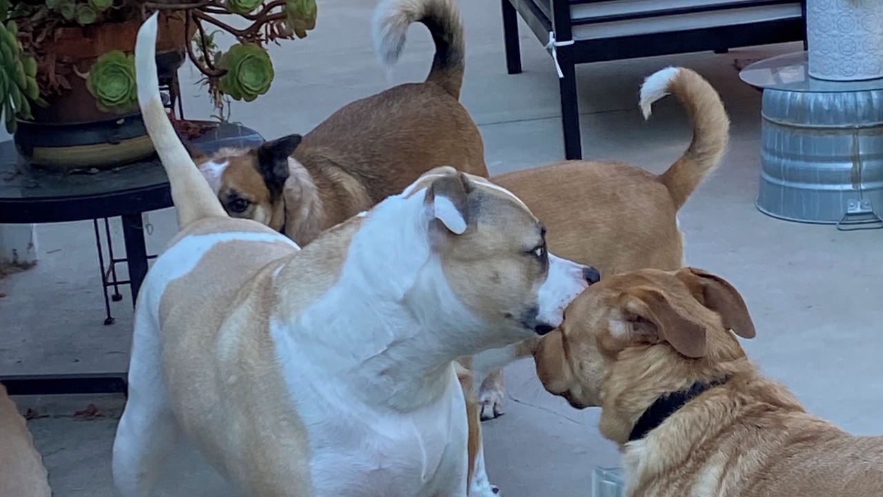Photo of Others in Grover Beach