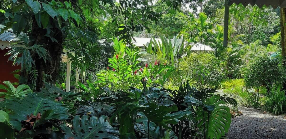 Photo of Outdoor in Manzanillo