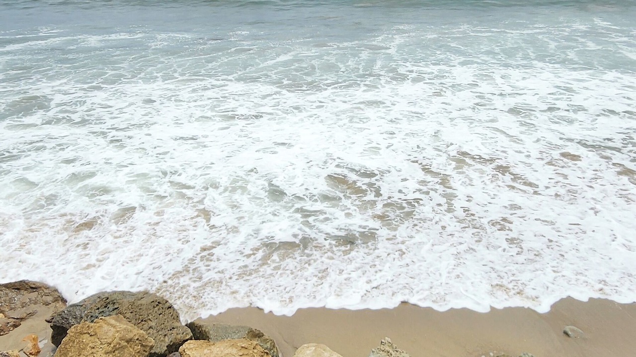 Photo of Others in Central Malibu