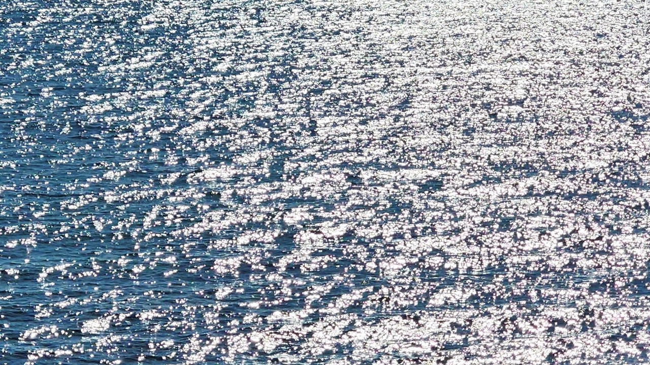 Photo of Others in Central Malibu