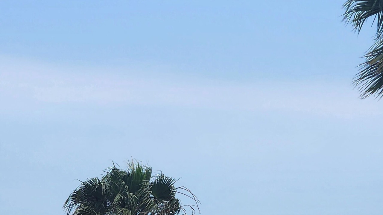 Photo of Others in Central Malibu