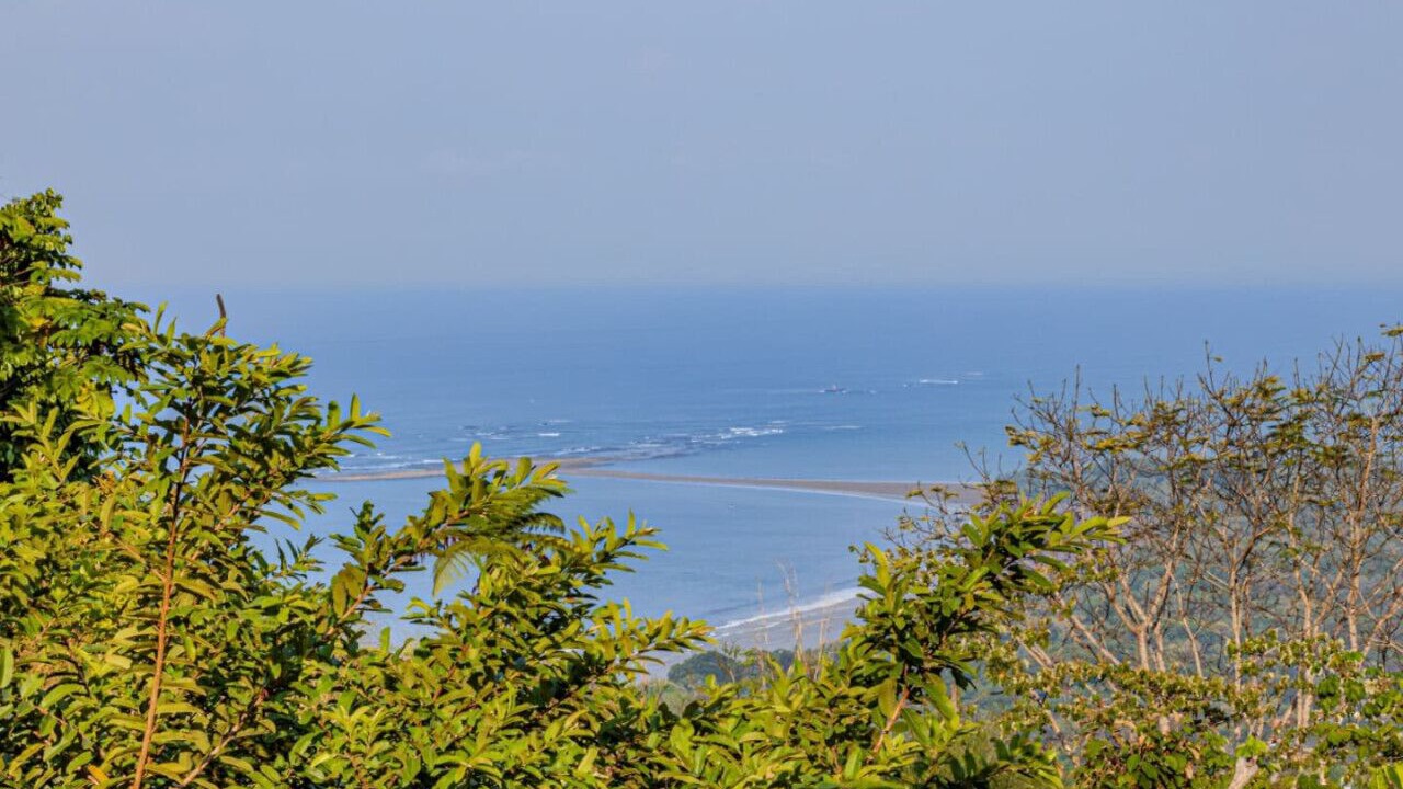 Photo of Others in Ballena