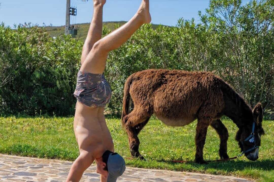 Photo of Others in Portimao
